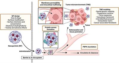 The Role of in silico Research in Developing Nanoparticle-Based Therapeutics